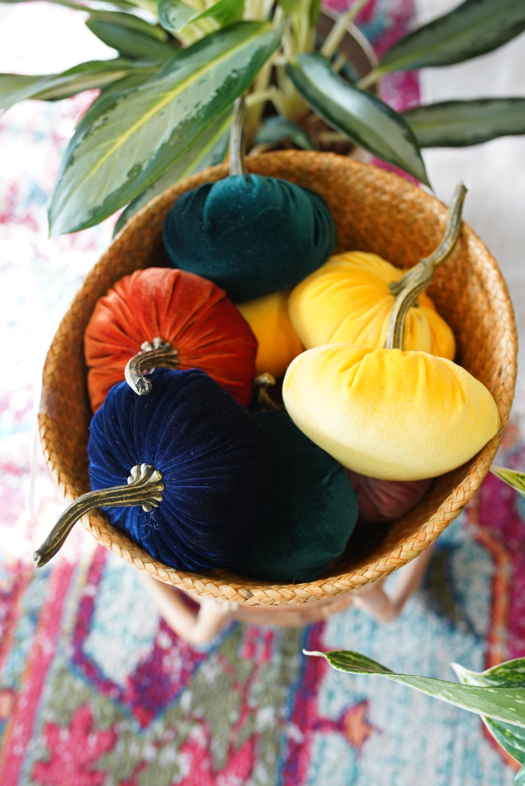 Handmade Velvet Pumpkins