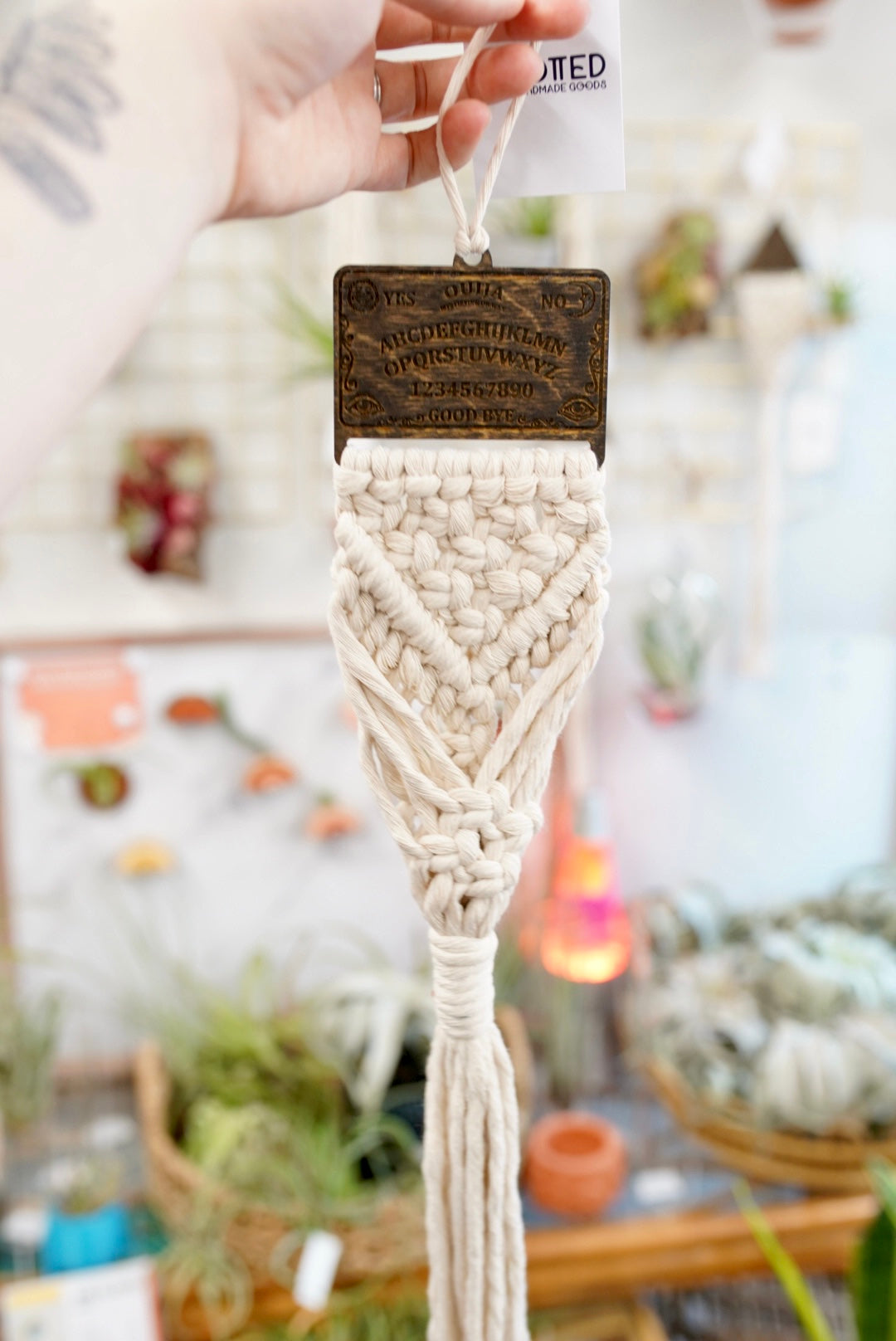 Ouija Air Plant Hanger