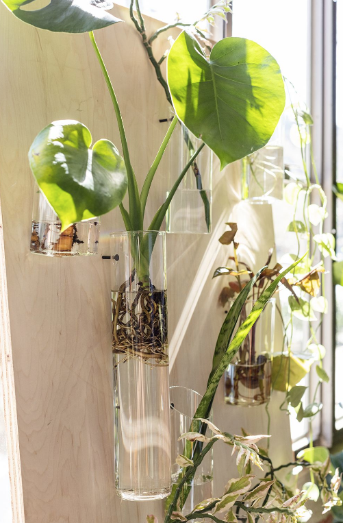 Honeycomb Hanging Propagation Station