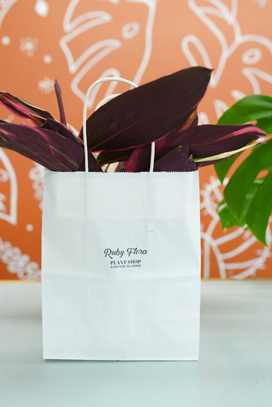 Plant in Ruby Flora shopping Bag