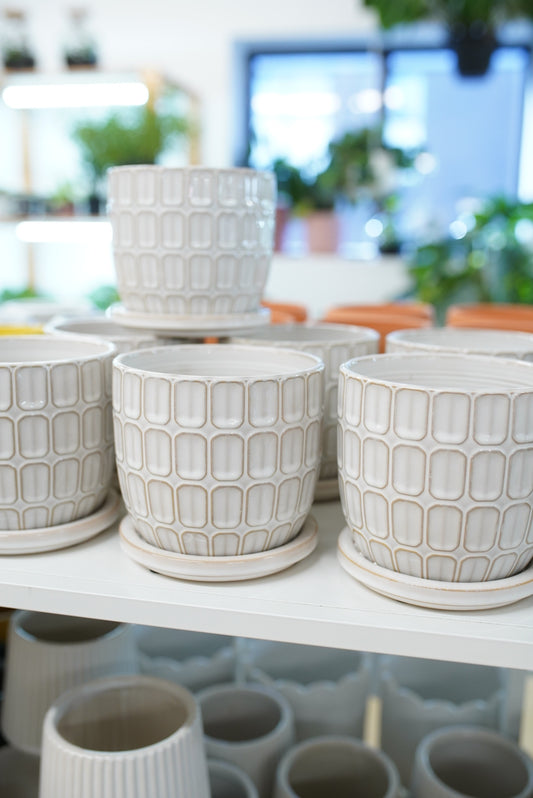 Squoval Planter