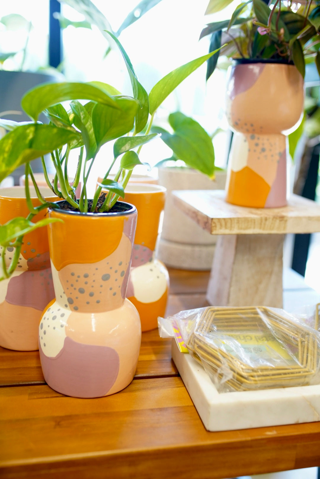 Pynk & Dots Reversible Planter
