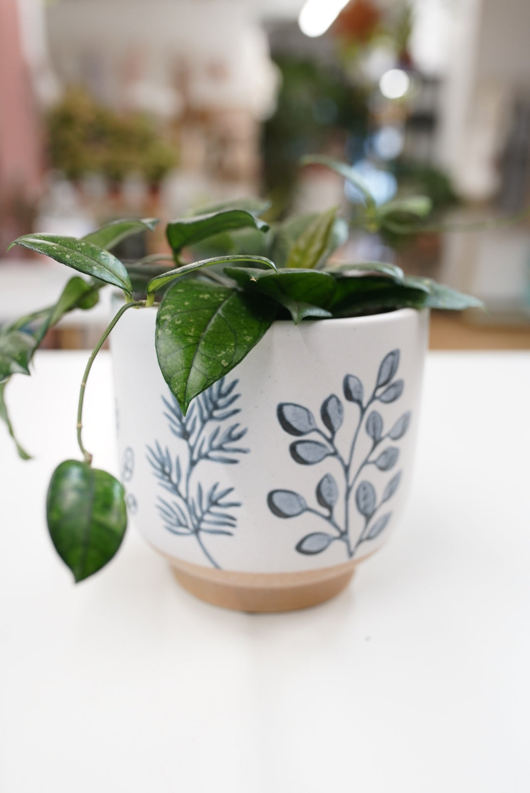 Blue and White Painted Leaf Planter