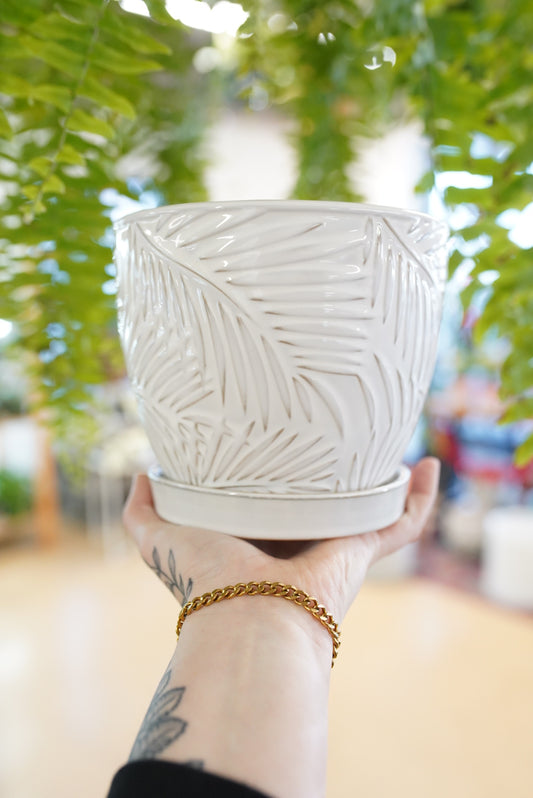 White Palm Leaf Planter w/ Saucer