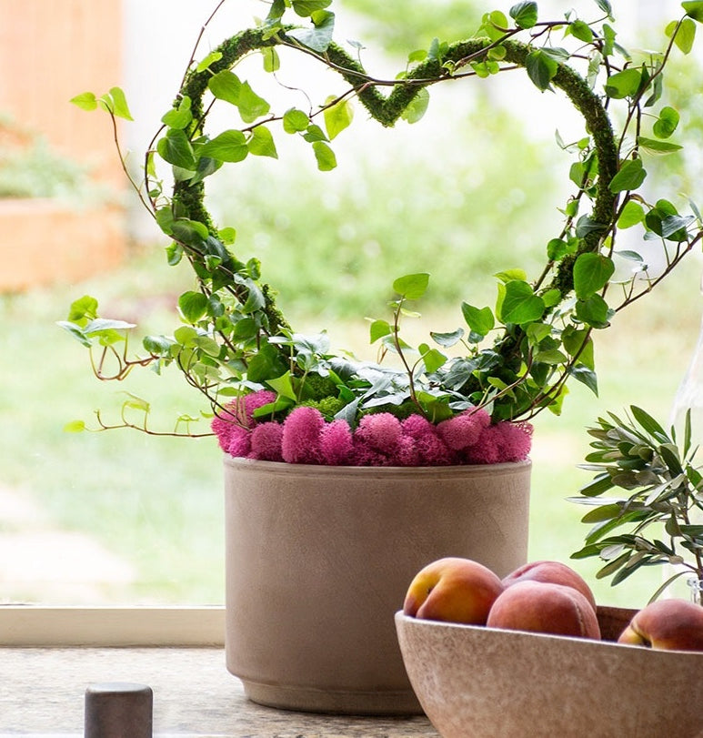 Heart Plant Trellis