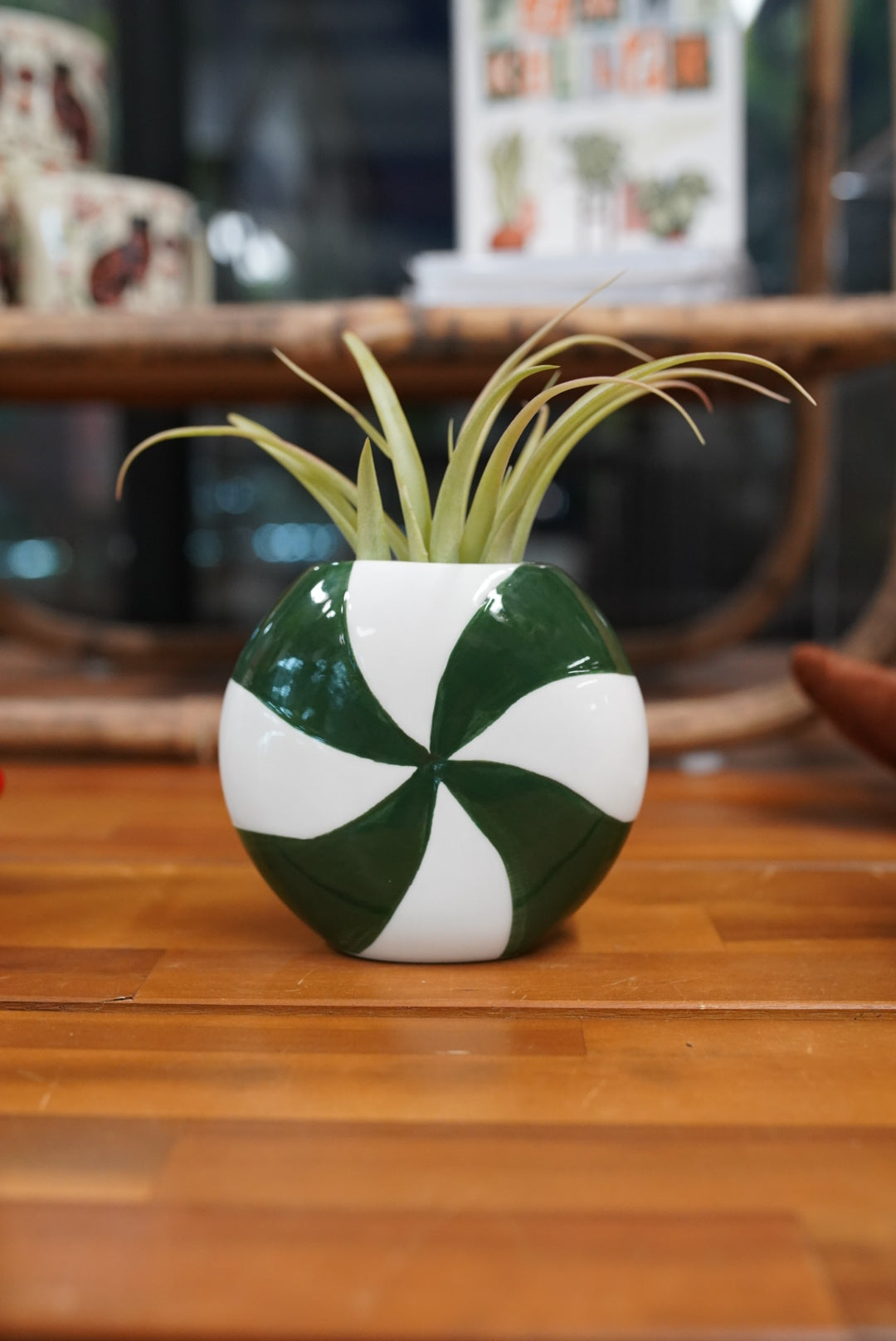 Peppermint planter