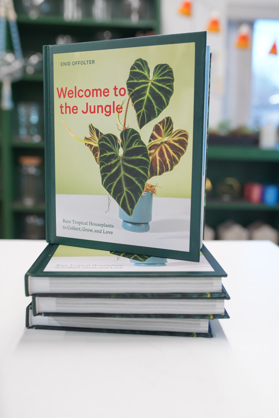 Welcome to the jungle book