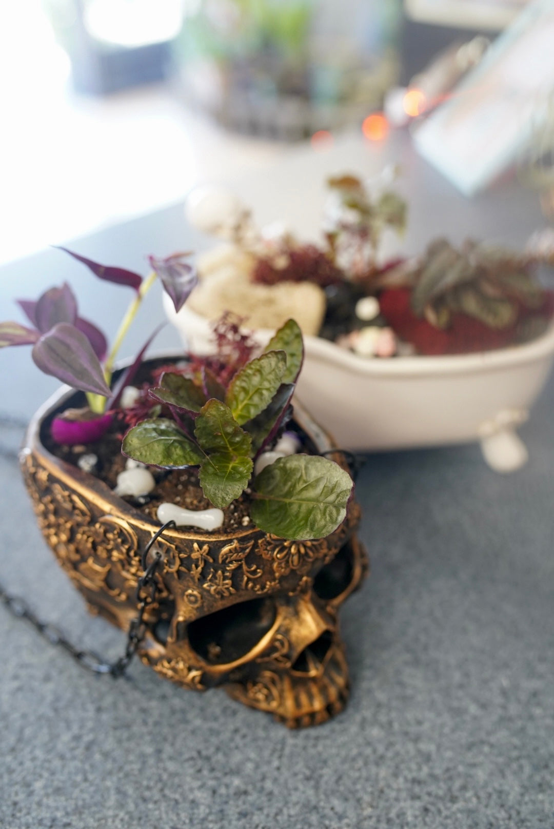 Whimsical Planters