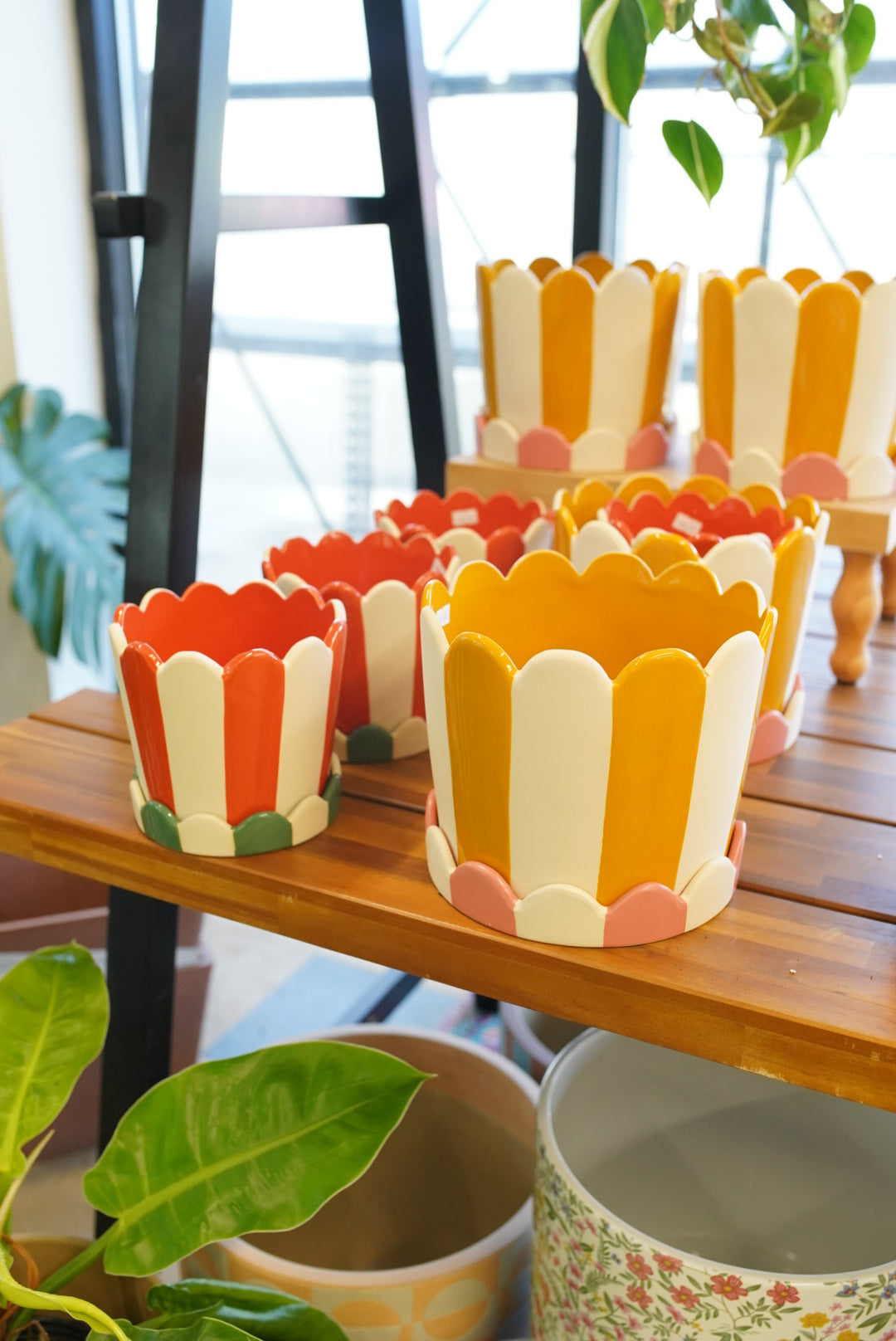 Striped Ceramic Pots with Saucer