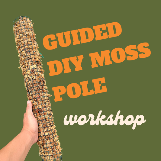 Make Your Own Moss Pole Workshop - Saturday, October 17
