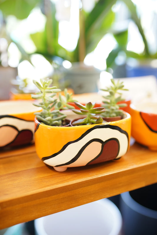 Desert Days Chunky Planter
