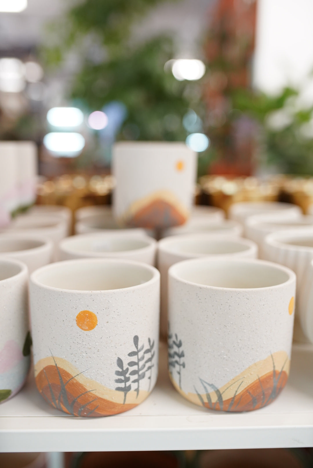 Mojave Planter