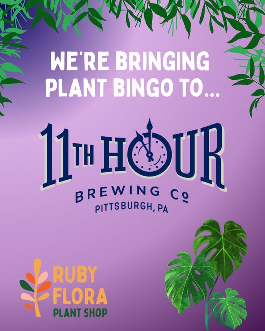Plant Bingo at Eleventh Hour Brewing - Friday, February 27
