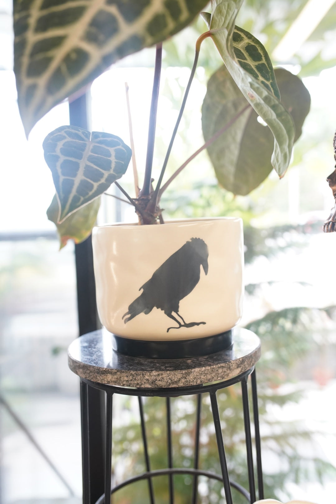 Corvus Planter