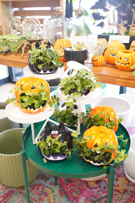 Halloween Howlers