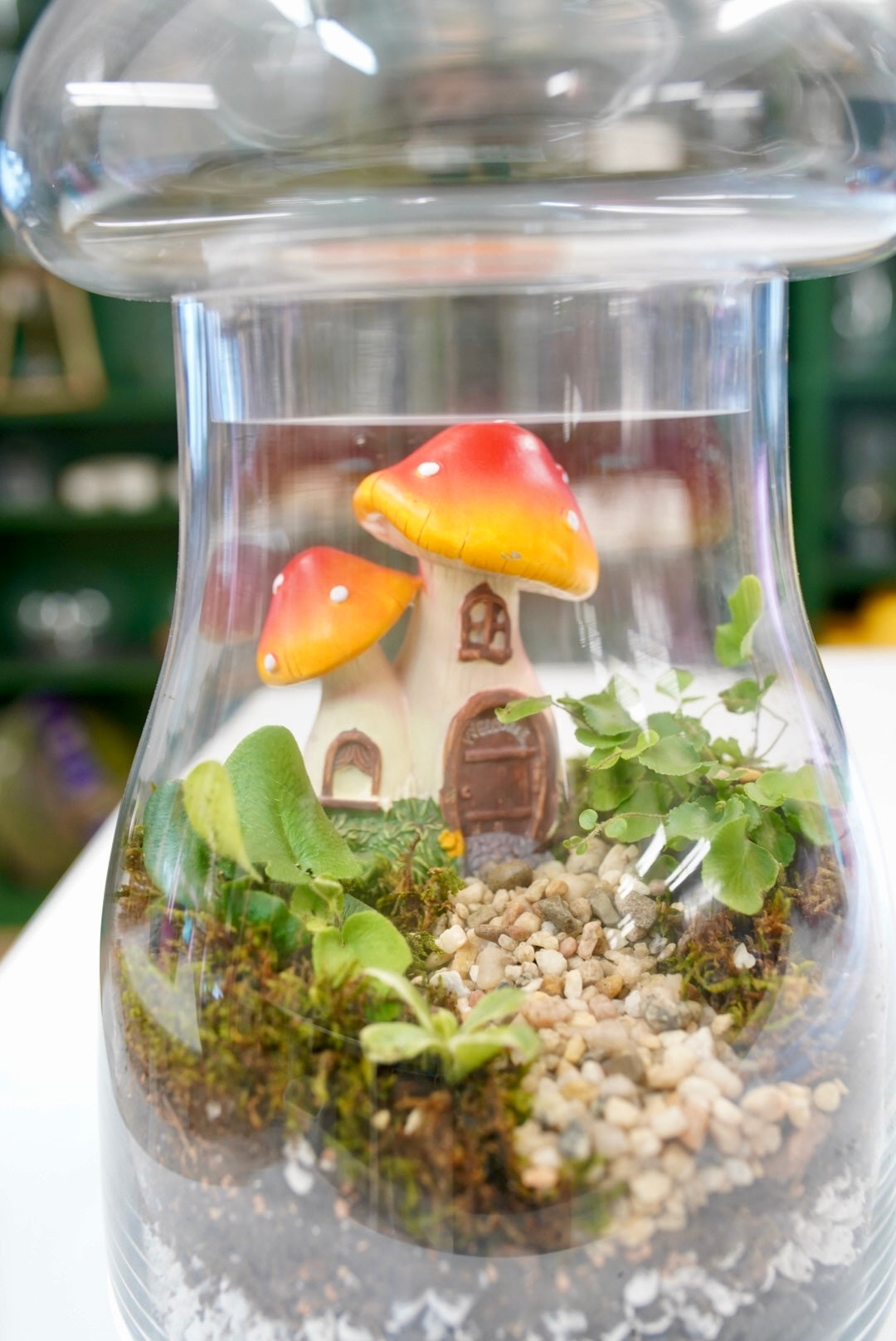 Mushroom House Terrarium - Saturday, April 26