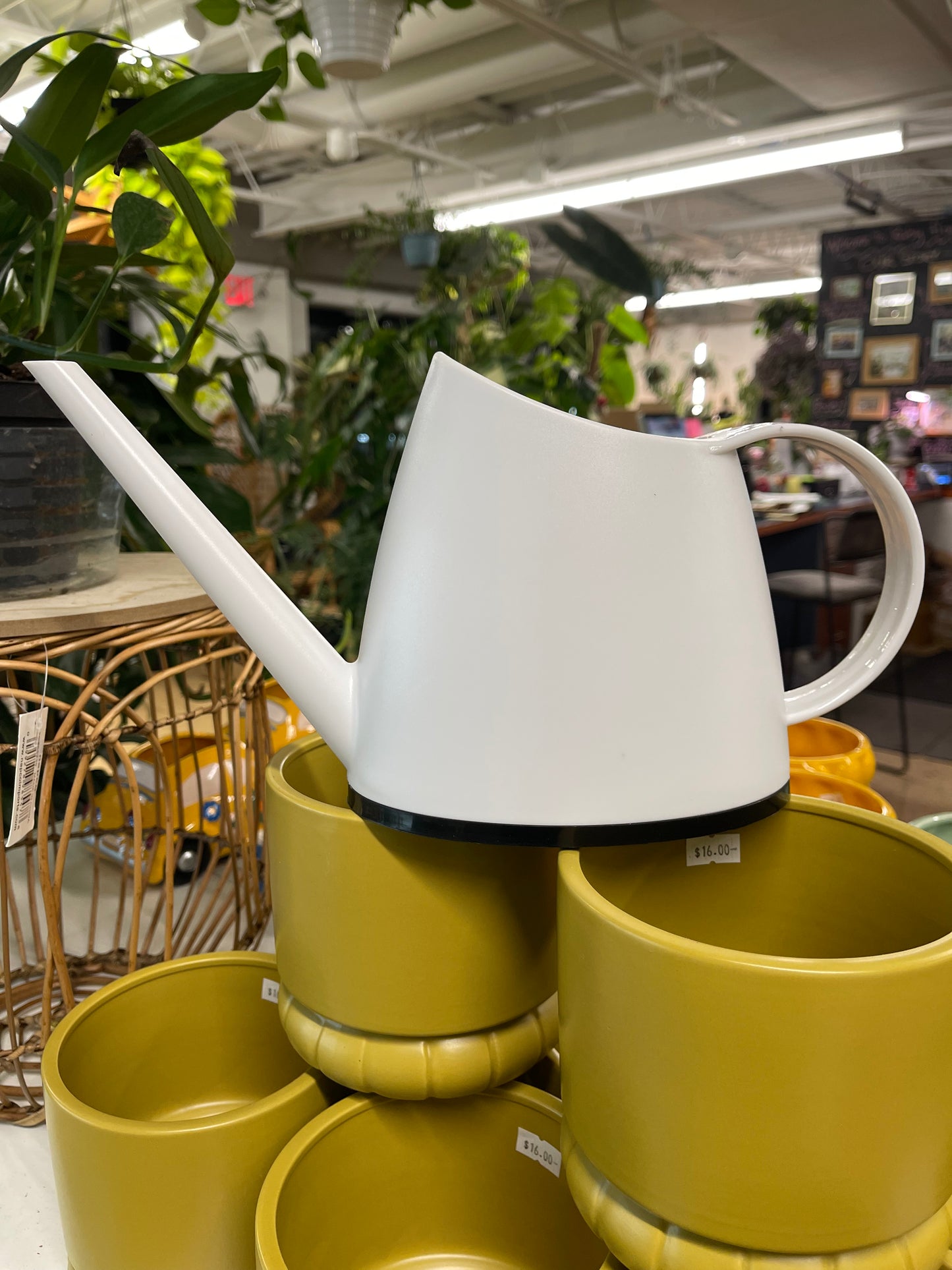 Translucent Watering Can