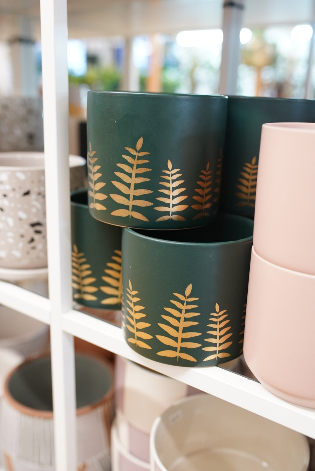 Midwinter Fern Planter