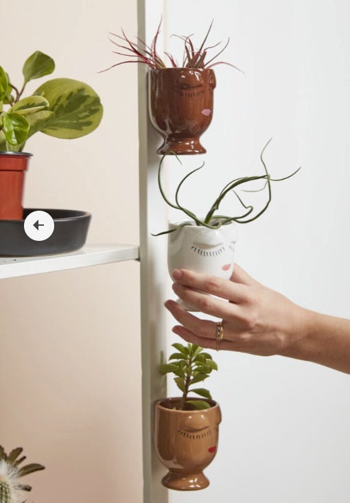 Magnetic Face Planter