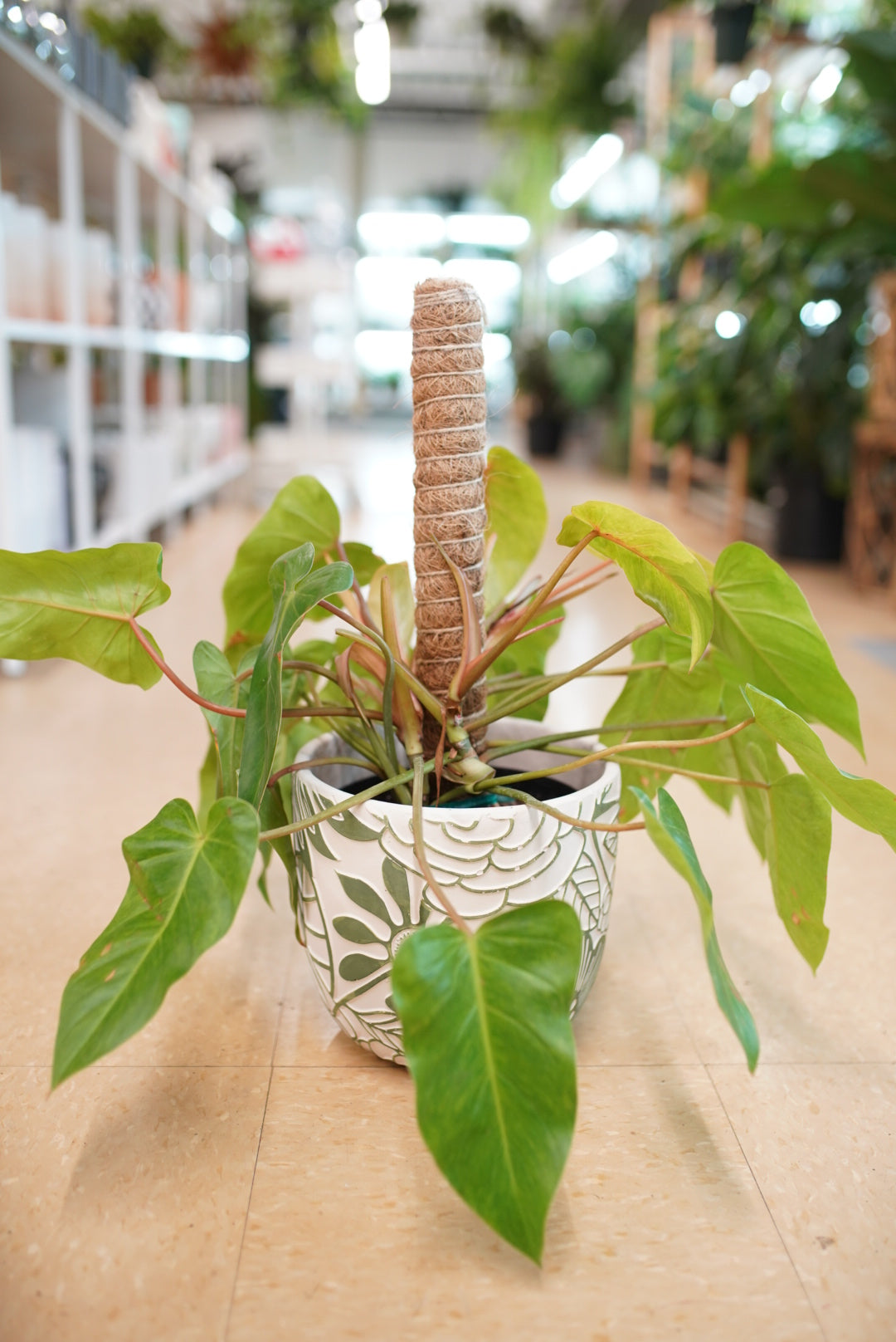 Green and White Floral Planter