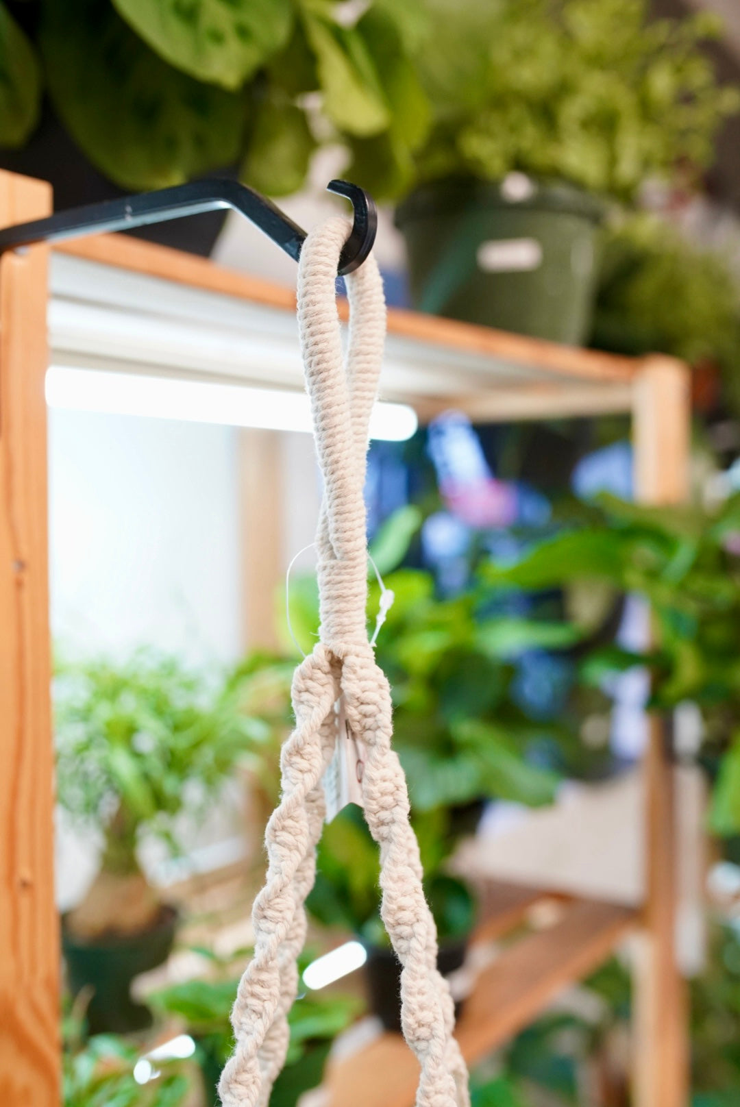 Tiered Shelf Plant Hanger