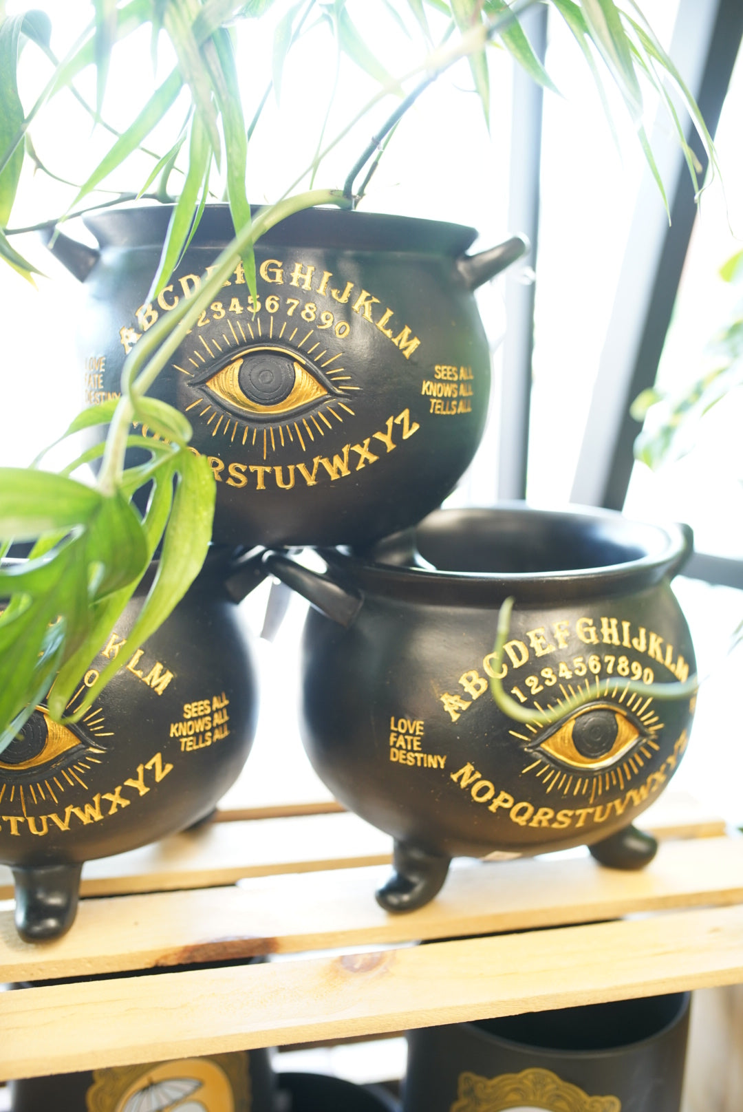Large Cauldron Planter