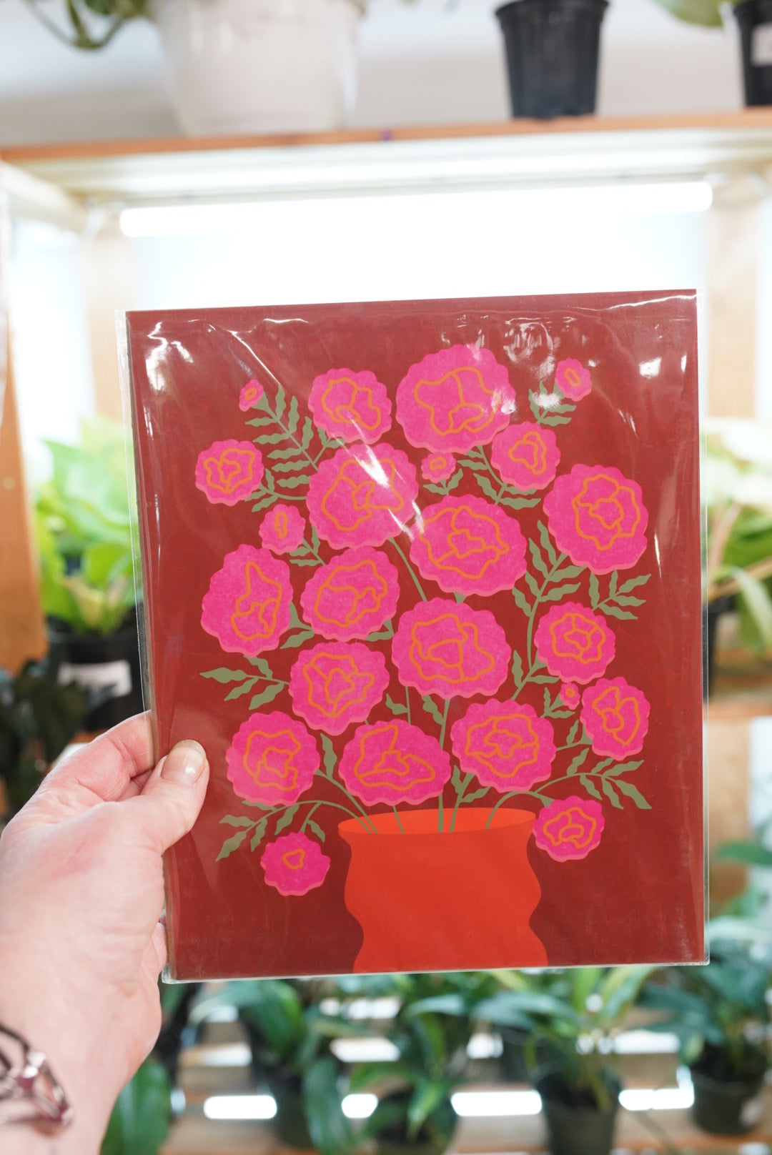 Plant Illustrations