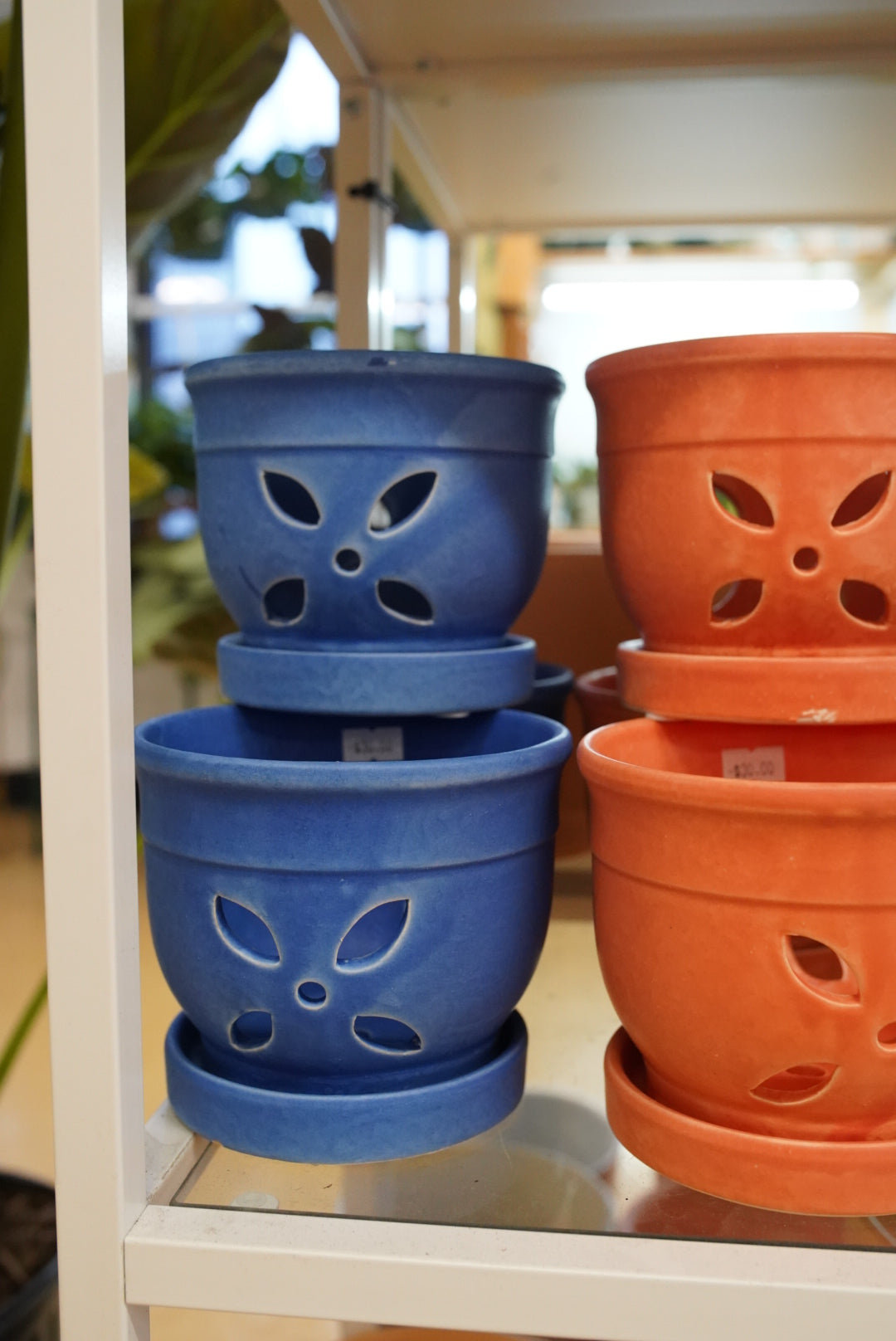 Petal Orchid Pot