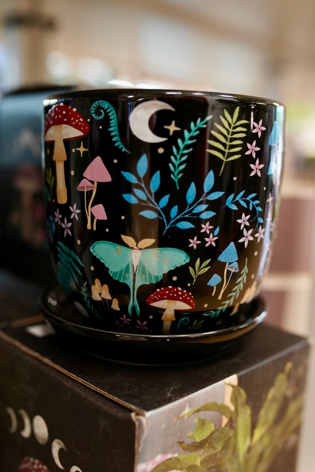 Dark Forest Planter