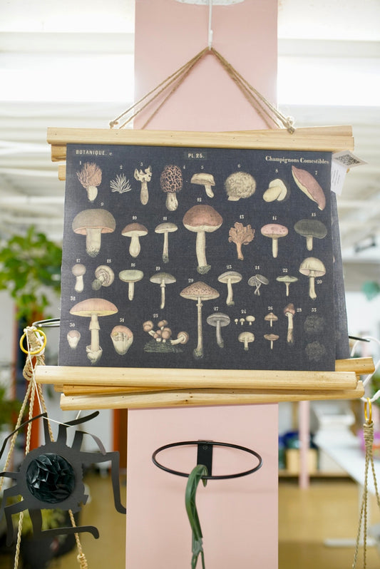 Mushroom Wall Decor