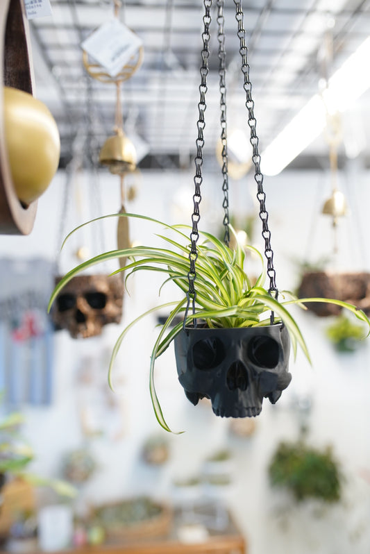 3D-printed Black Hanging Skull Planter