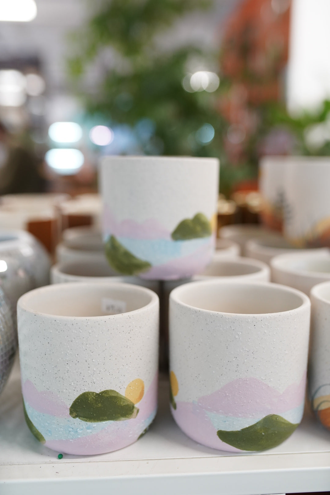 Mojave Planter
