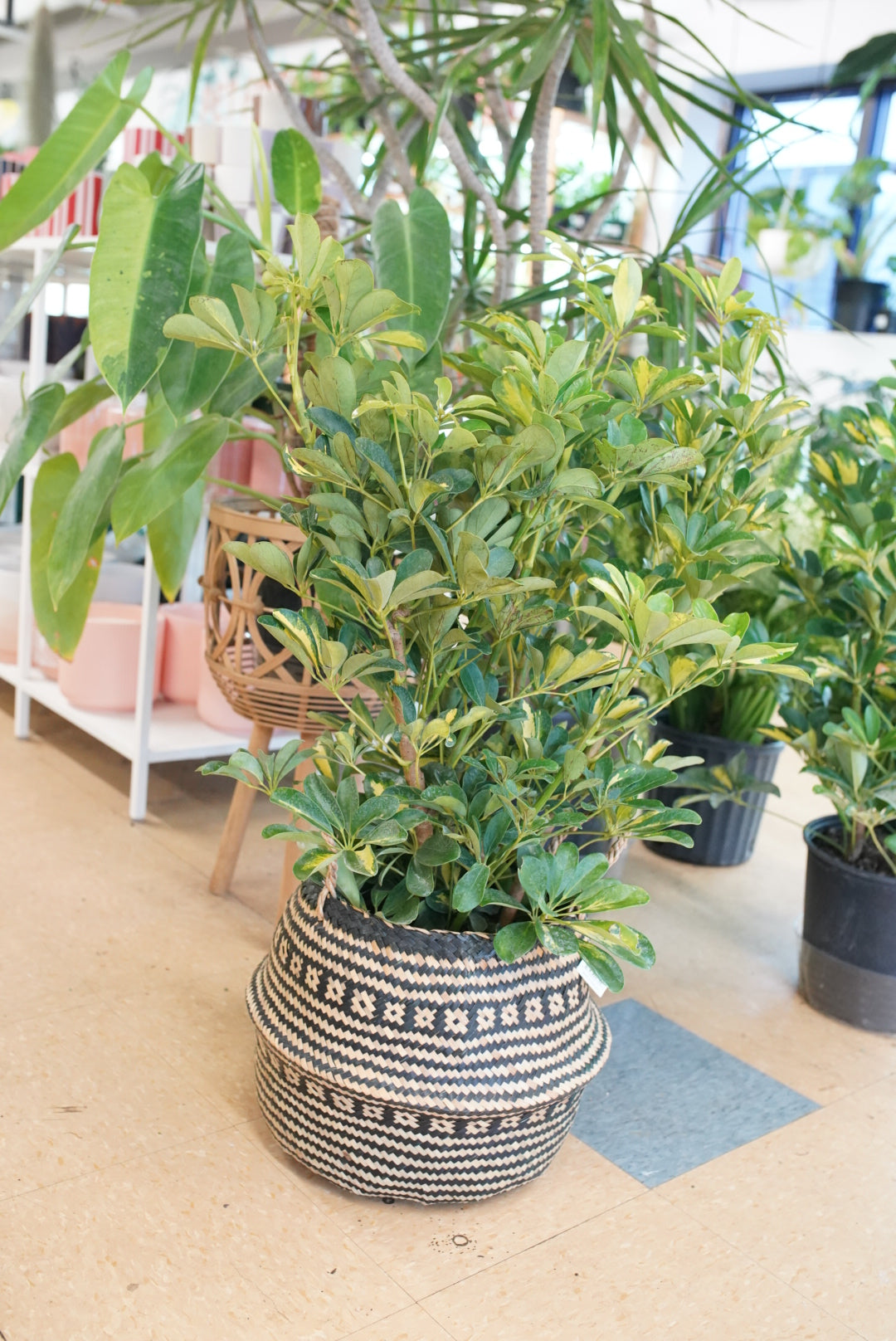 Peruvian-Style Basket