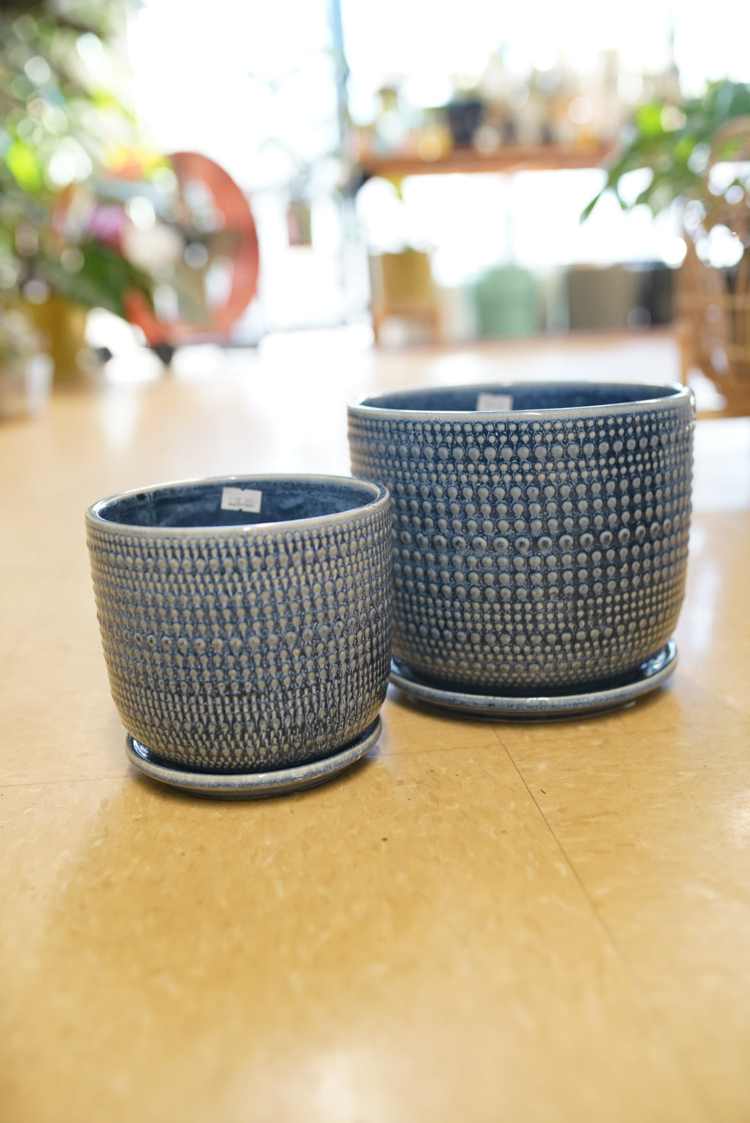 Blue Textured Planter with Saucer