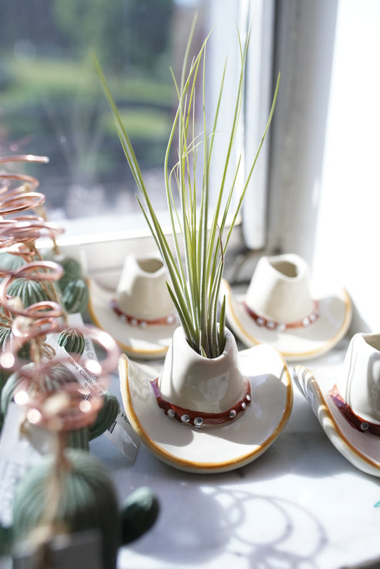 Mini Cowboy Hat Planter
