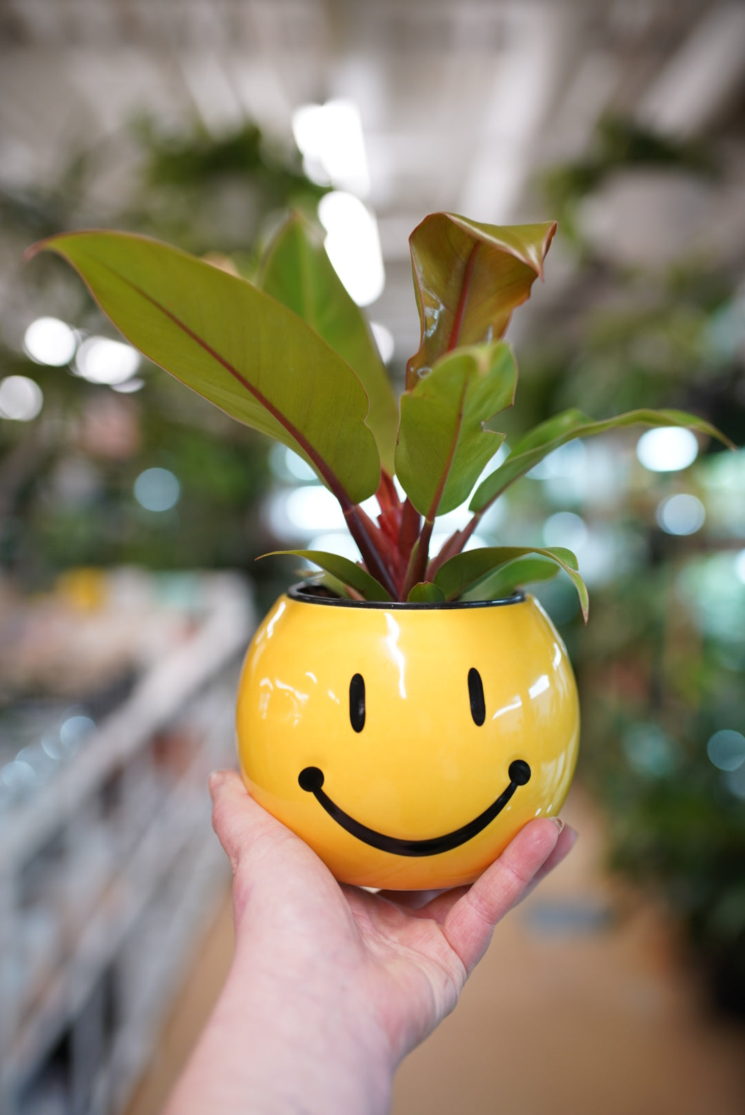 Yellow Smiley Face Planter