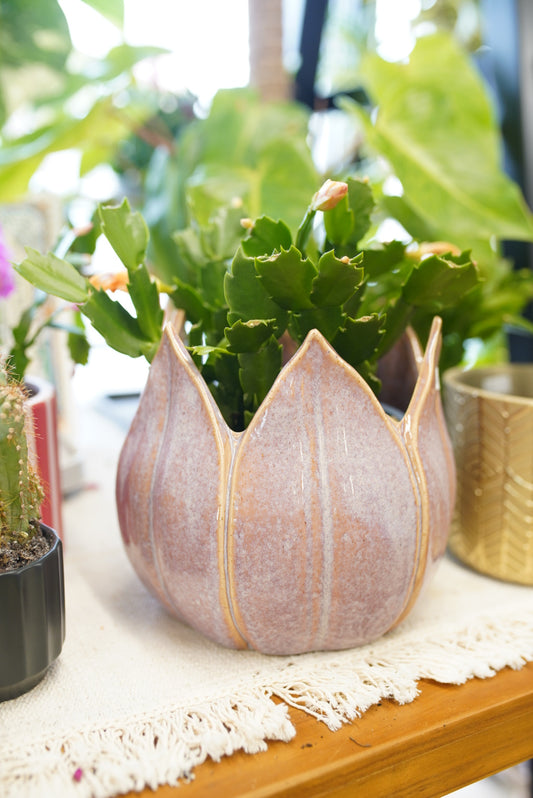 Ceramic Sculpted Petal Planters