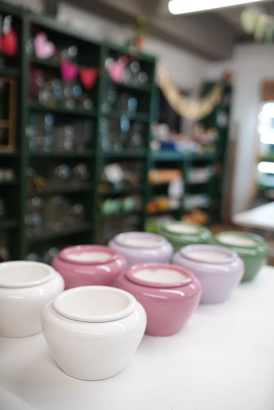 Self-Watering Planter