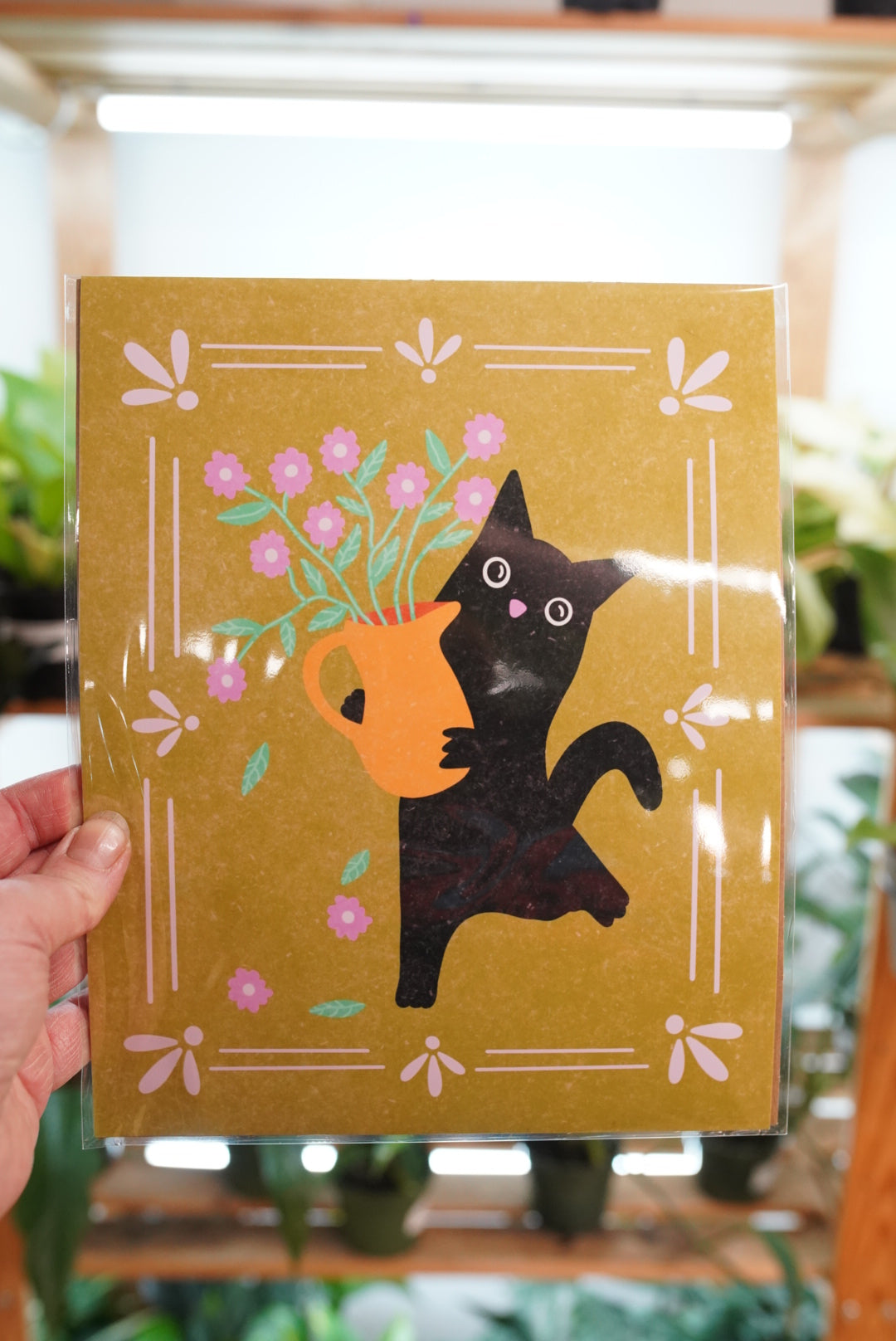 Plant Illustrations