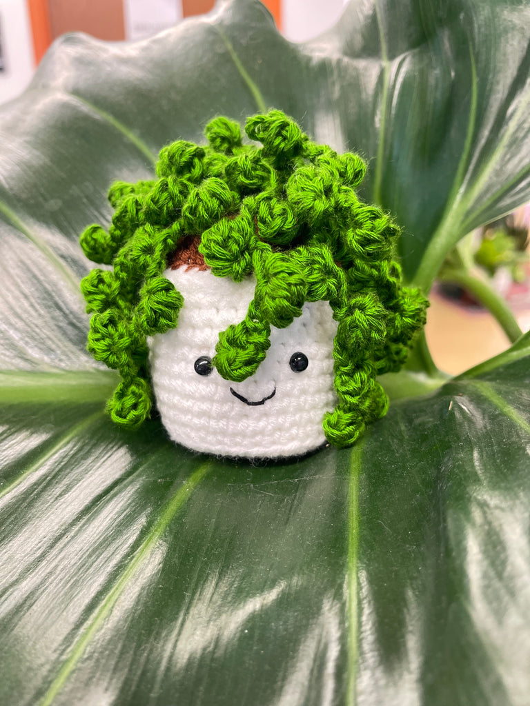 Crochet Plant Plushies