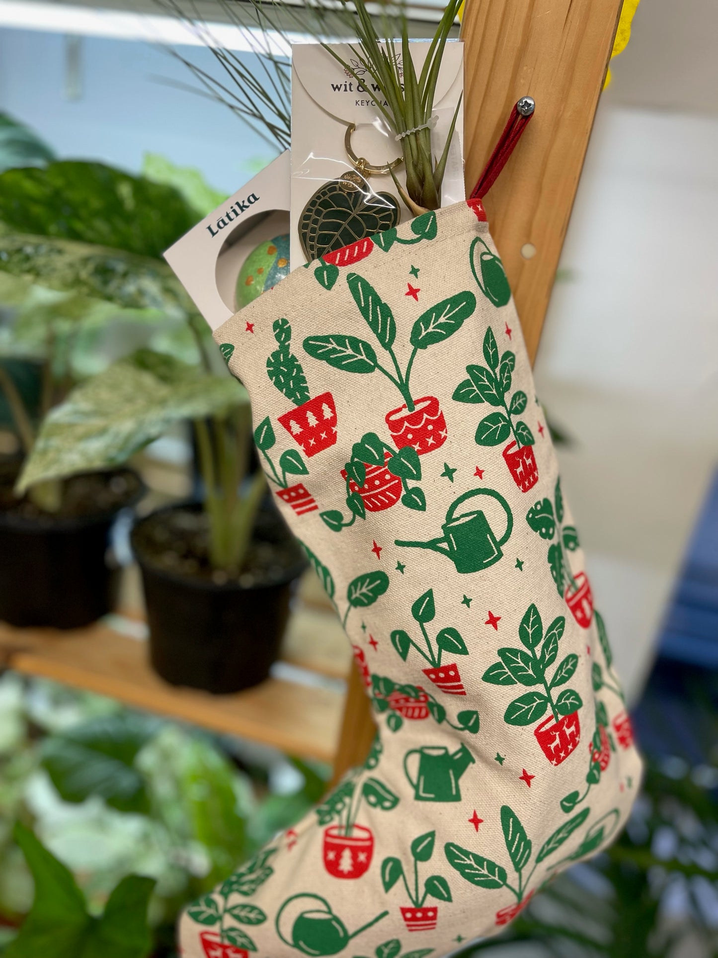 Christmas Plant Stocking