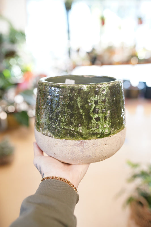 Rustic Green Terracotta Planter