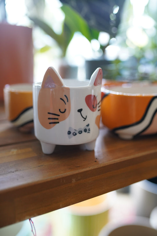 Footed Cat Planter