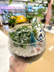 Winter Wonderland Terrarium Workshop - Saturday, December 9