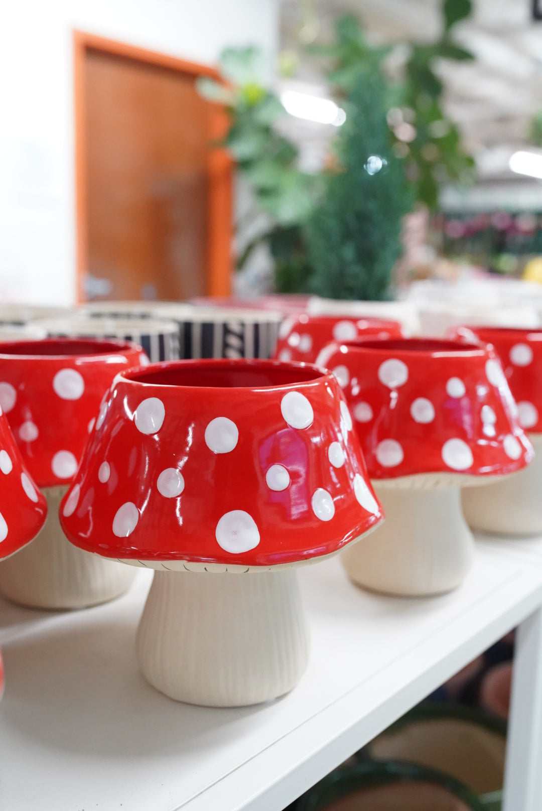 Polka Dot Mushroom