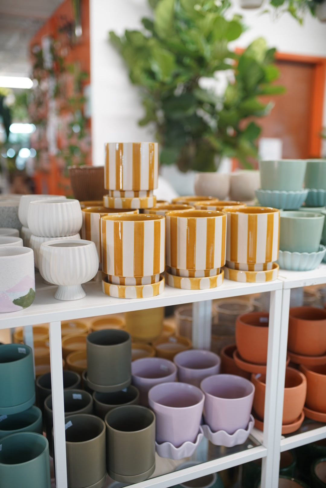 Saffron Planter w/ Saucer