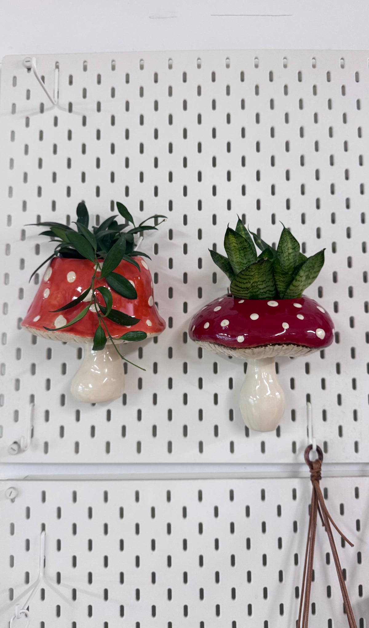 Mushroom Hanging Wall Planter