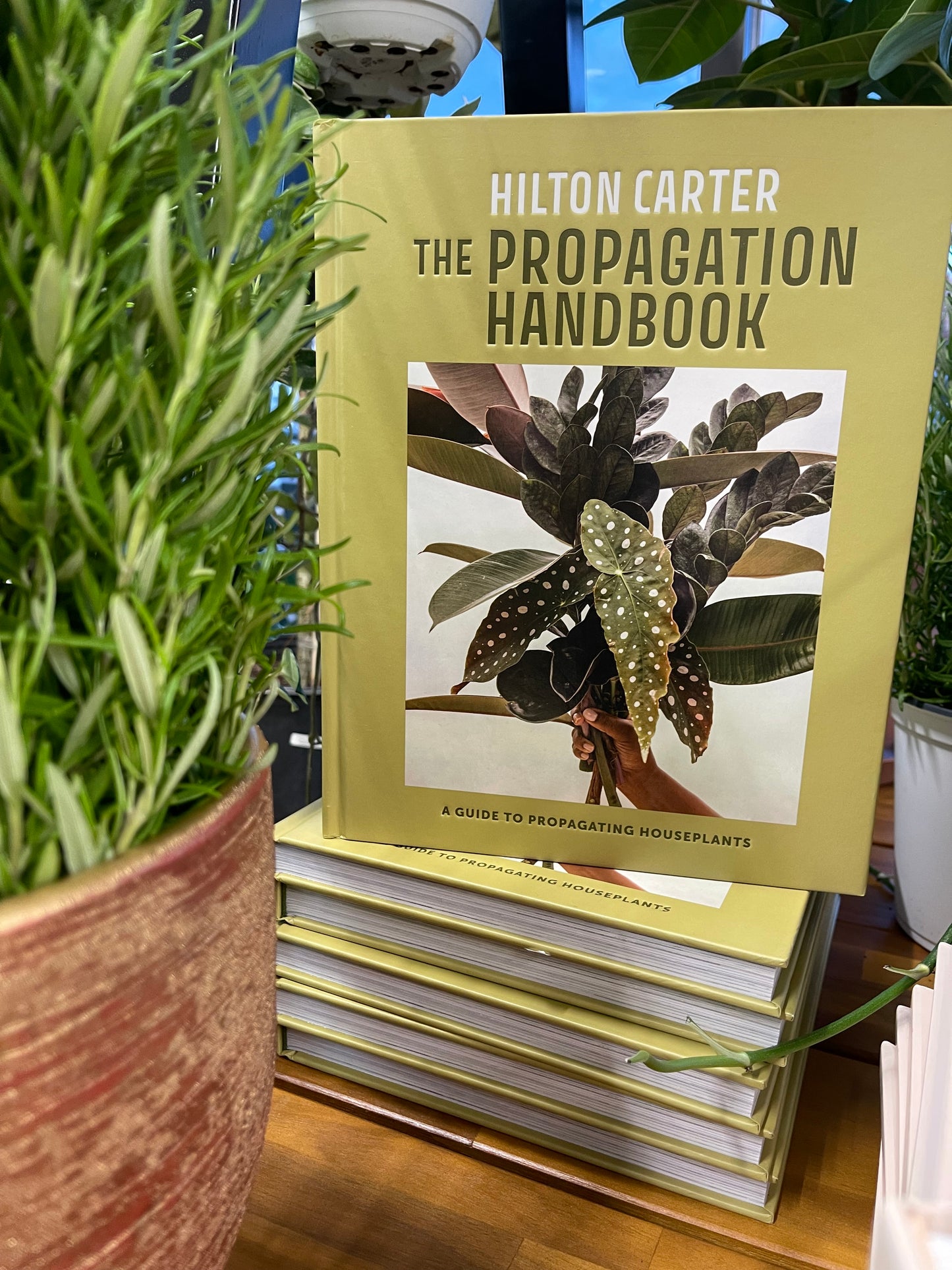 The Propagation Handbook