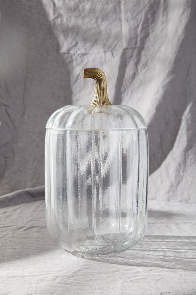 Translucent Pumpkin Terrarium