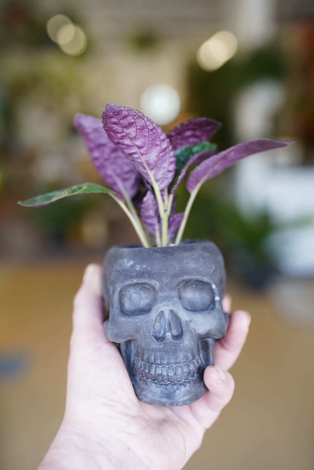 Skull Planter